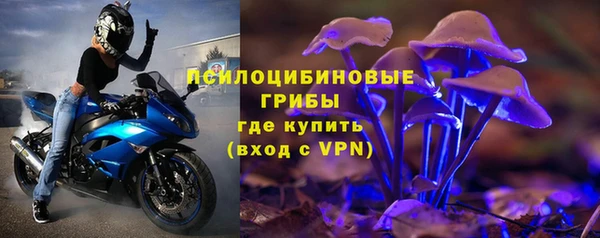 apvp Аксай